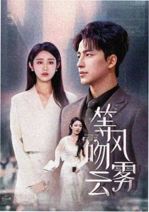 长夜短讯 热播剧集高清封面
